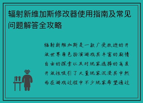 辐射新维加斯修改器使用指南及常见问题解答全攻略